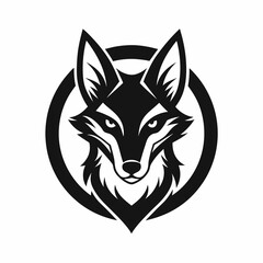 Fototapeta premium jackal