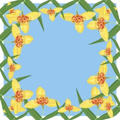 frame with flowers flower, tulip, yellow, spring, nature, plant, beauty, blossom, bloom, floral, leaf, petal, flora, lily, flowers, garden, daffodil, bouquet, closeup