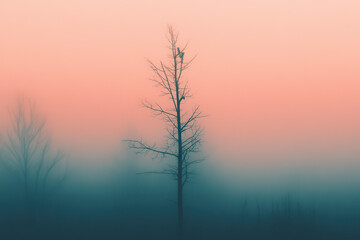 Bare tree in foggy landscape during sunset with soft gradient colors