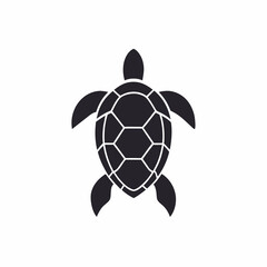 Obraz premium Hawksbill Turtle