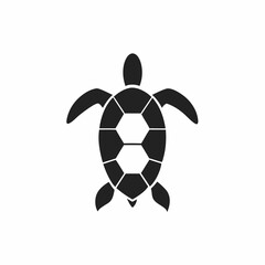 Obraz premium Hawksbill Turtle
