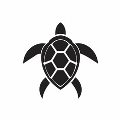 Obraz premium Hawksbill Turtle