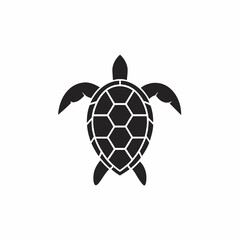 Obraz premium Hawksbill Turtle