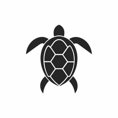 Obraz premium Hawksbill Turtle