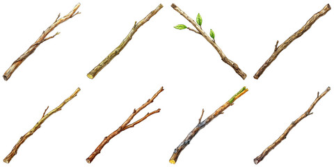 Fototapeta premium Hand Drawn illustration set of twig . isolate on a white background. PNG 