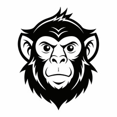 Obraz premium monkey