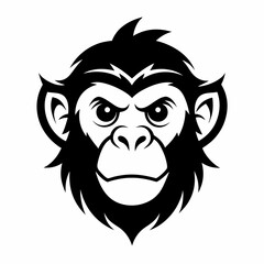 Obraz premium monkey