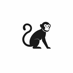 Fototapeta premium monkey