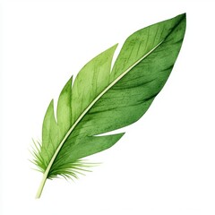 Fototapeta premium Green Feather on White Background Isolated Image