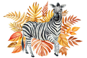 Zebra in watercolor vibrant fall leaves isolated white background. Autumn print wild animal watercolor. Design poster
