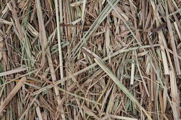 Textures with rice straw background.