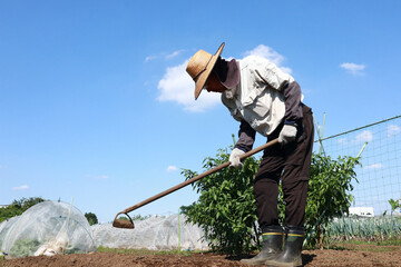 農作業の男性　青空