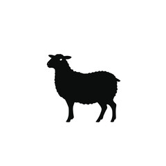 A black sheep standing in a plain background