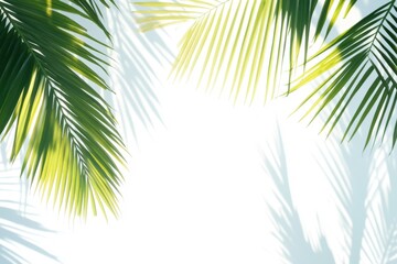 Realistic shadow of palm leaves on bright surface. Tropical palm leaf silhouette for layering. Coconut foliage cut-out element for seasonal design aspects © Livinskiy