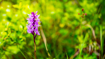 Impressionen auf der Wanderung zum Gletscher im Jostedalsbreen Nationalpark in Norwegen