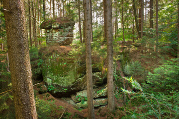 Landscape with picturesque rocks in the forest. Table mountains in Poland
