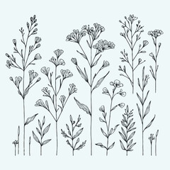 Adobe Illustrator Artwork
set of flowers vector
illustration of a flower
black and white flower