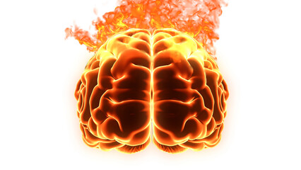 Burning Brain Fire