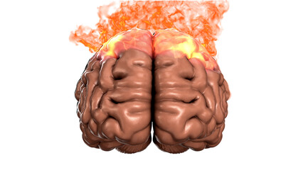 Burning Brain Fire
