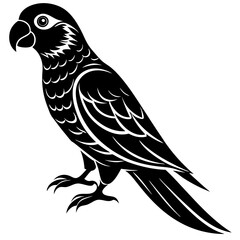 Parrot Bird Vector Silhouette - Vector Illustration - Line Art - Icon - Clipart