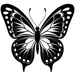 Black and White Butterfly - Vector Illustration - Line Art - Silhouette - Clipart