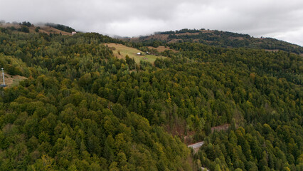 Obraz premium landscape with trees