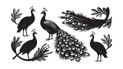 Fototapeta premium Peacock Silhouette Smooth Elements Design, any colorful change the Peacock Vector Illustration