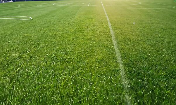 Close-up Green Grass Field for Soccer and Sports Background