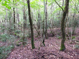 Obraz premium Caminos y Paisajes Estación de Canfranc - 2023 - 45