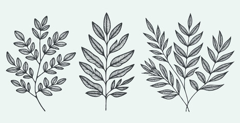Naklejka premium illustration of a plant set of leaves black and white silhouettes of leaves seamless pattern with leaves