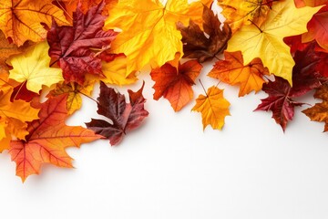 fall themed boarder on a white background 
