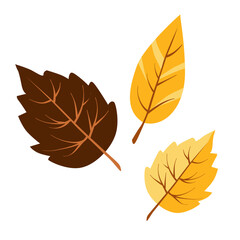 Vector autumn yellow dry birch leaves. Flat illustration with brown plants for design