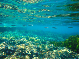 Ocean blue underwater with sunrays, Underwater Sea Deep Water Abstract Sunshine, sea wave , clean...