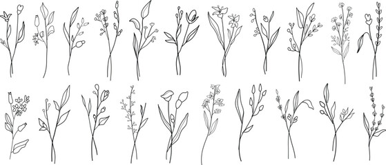Floral elegant leaves vector set. Hand drawn flower art illustration. Trendy floral wildflowers botanical set.