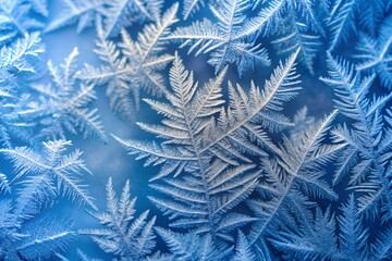 Serene winter texture of blue frost and crystal ice pattern