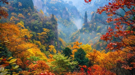 Witnessing the Changing Colors of Zhangjiajie National Park