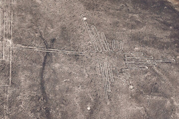 Giant hummingbird geoglyph in the Nazca desert. The Nazca Lines. Peru. South America © Nataliya
