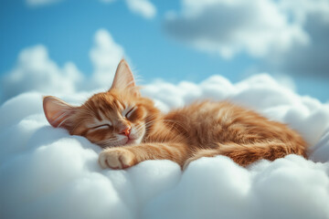 Cat sleeping on a cloud in a dreamy sky in heaven