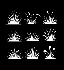 Set of white Silhouette grass plant with black background 