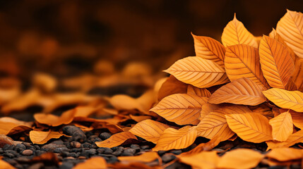 Close-up of vibrant orange autumn leaves on the ground with a blurred background, showcasing the...