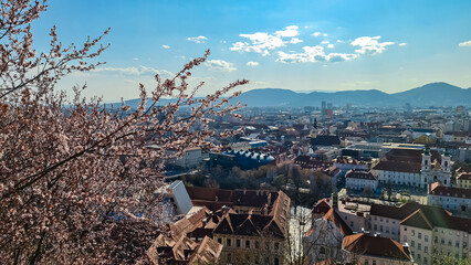 Vibrant cherry blossom tree in full bloom with scenic aerial view of Graz seen from Schlossberg, Styria, Austria, Europe. Unesco world heritage. City is nestled amidst rolling hills and Mur River