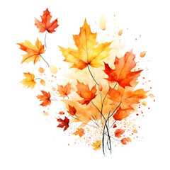 autumn leaves isolated on white background