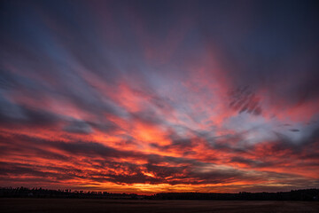 Sunset with bright fantastic clouds over field and forest
