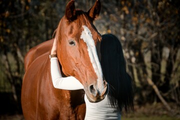 love between animals and people, the love of a woman and her horse