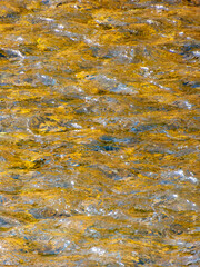 Water flood texture in the stream