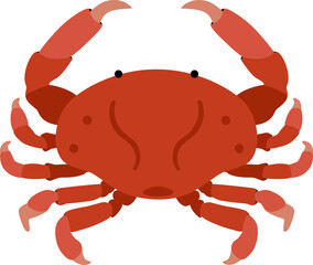Red Rock Crab