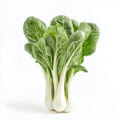 Bok choy vegetable, green color