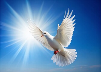 Fototapeta premium White Dove in Flight - Symbol of Peace and Freedom for Inspirational Themes