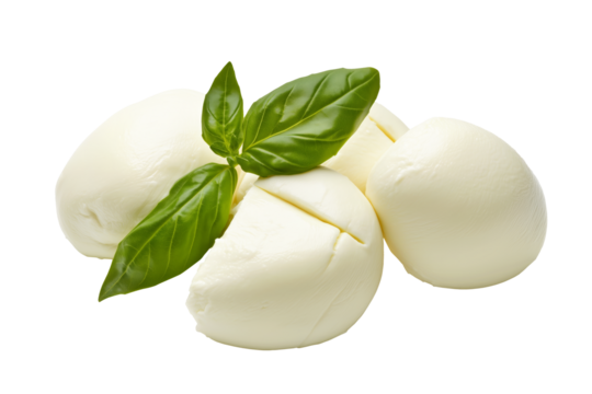 Fresh Buffalo mozzarella cheese balls, di bufala affumicata isolated on white transparent background. Concept of fresh dairy products and Italian cuisine