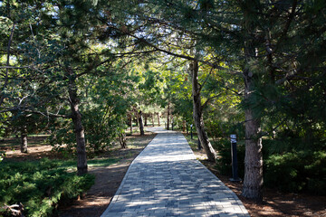 stone tile path in the walnut grove of Anapa in summer